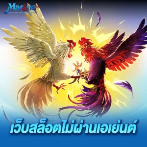 marine88 เว็บสล็อตไม่ผ่านเอเย่นต์